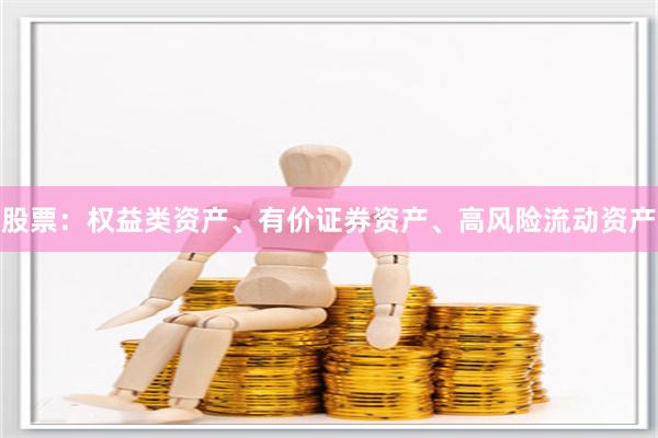 股票：权益类资产、有价证券资产、高风险流动资产