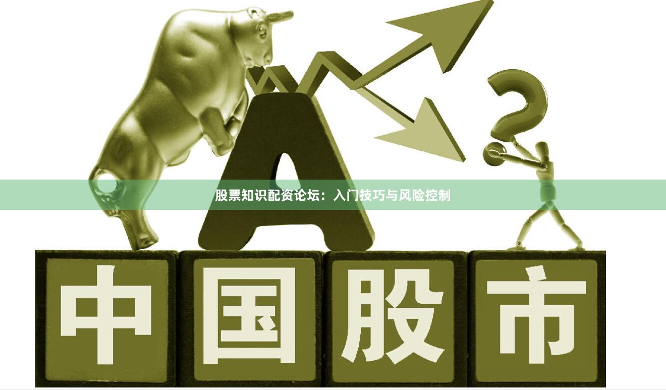 股票知识配资论坛：入门技巧与风险控制