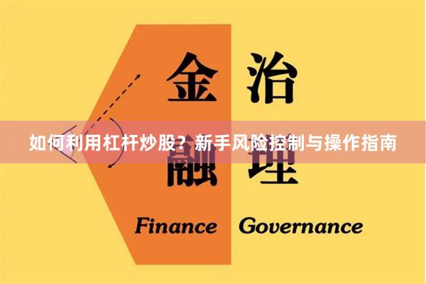 如何利用杠杆炒股？新手风险控制与操作指南